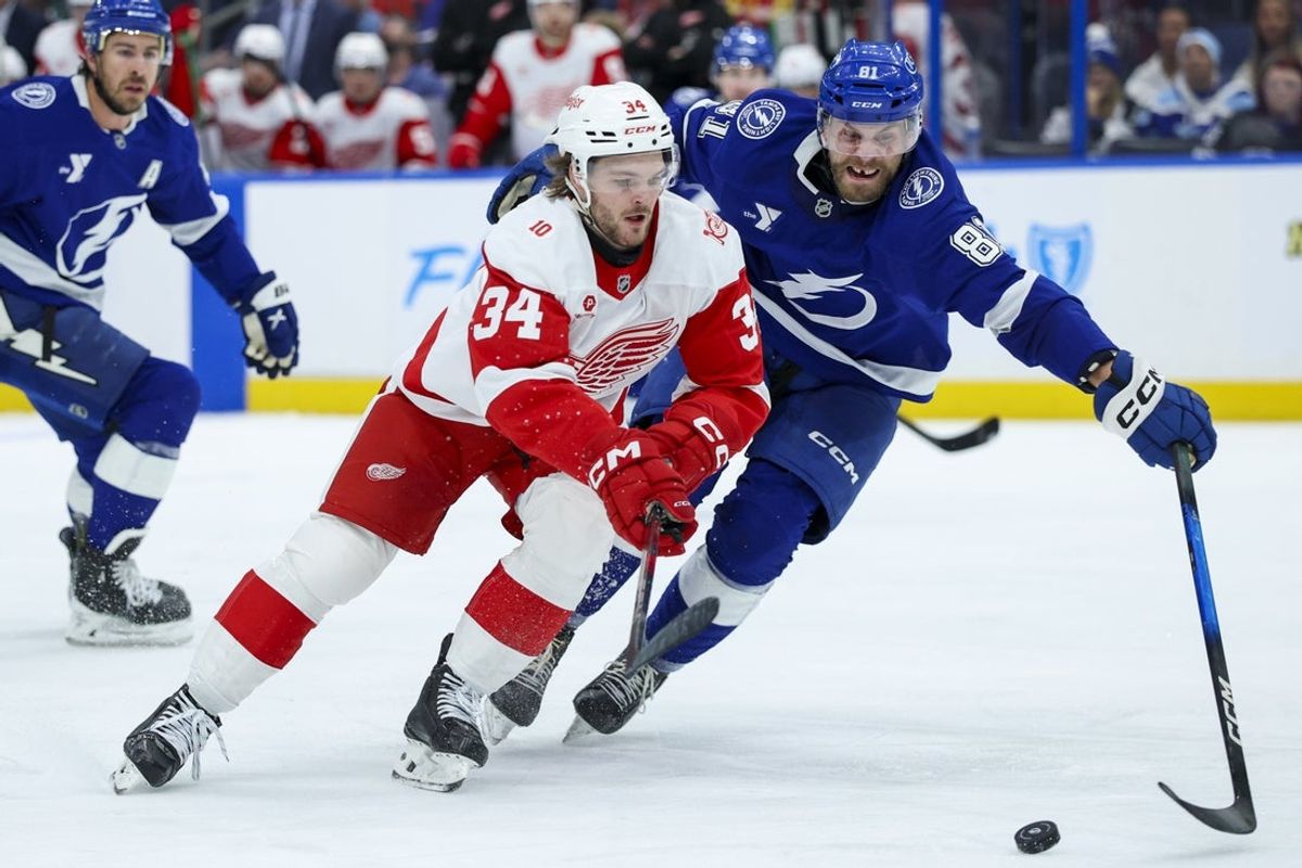 Apr 13, 2026; Tampa, Florida, USA; Detroit Red Wings left wing Carter Mazur (34) and Tampa Bay Lightning defenseman Erik Cernak (81) battle for the puck in the second period at Benchmark International Arena. Mandatory Credit: Nathan Ray Seebeck-Imagn Images