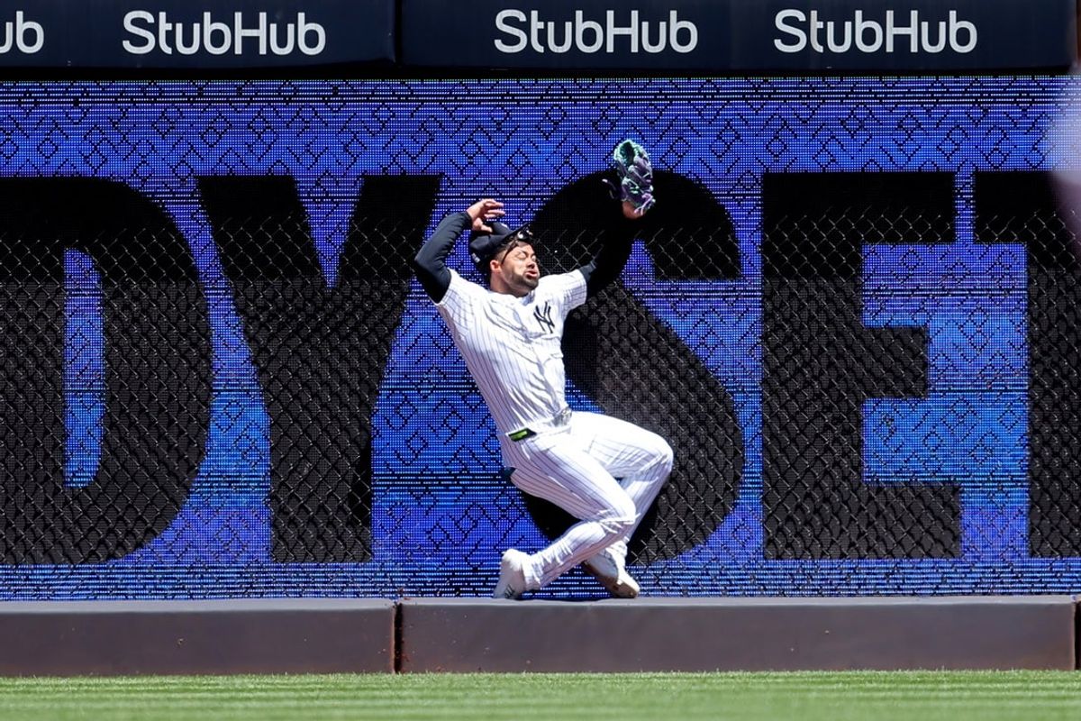 May 7, 2026; Bronx, New York, USA; New York Yankees left fielder Jasson Dominguez (24) makes a catch against the wall on a fly ball by Texas Rangers designated hitter Brandon Nimmo (not pictured) during the first inning at Yankee Stadium. Dominguez was injured on the play and taken out of the game. Mandatory Credit: Brad Penner-Imagn Images
