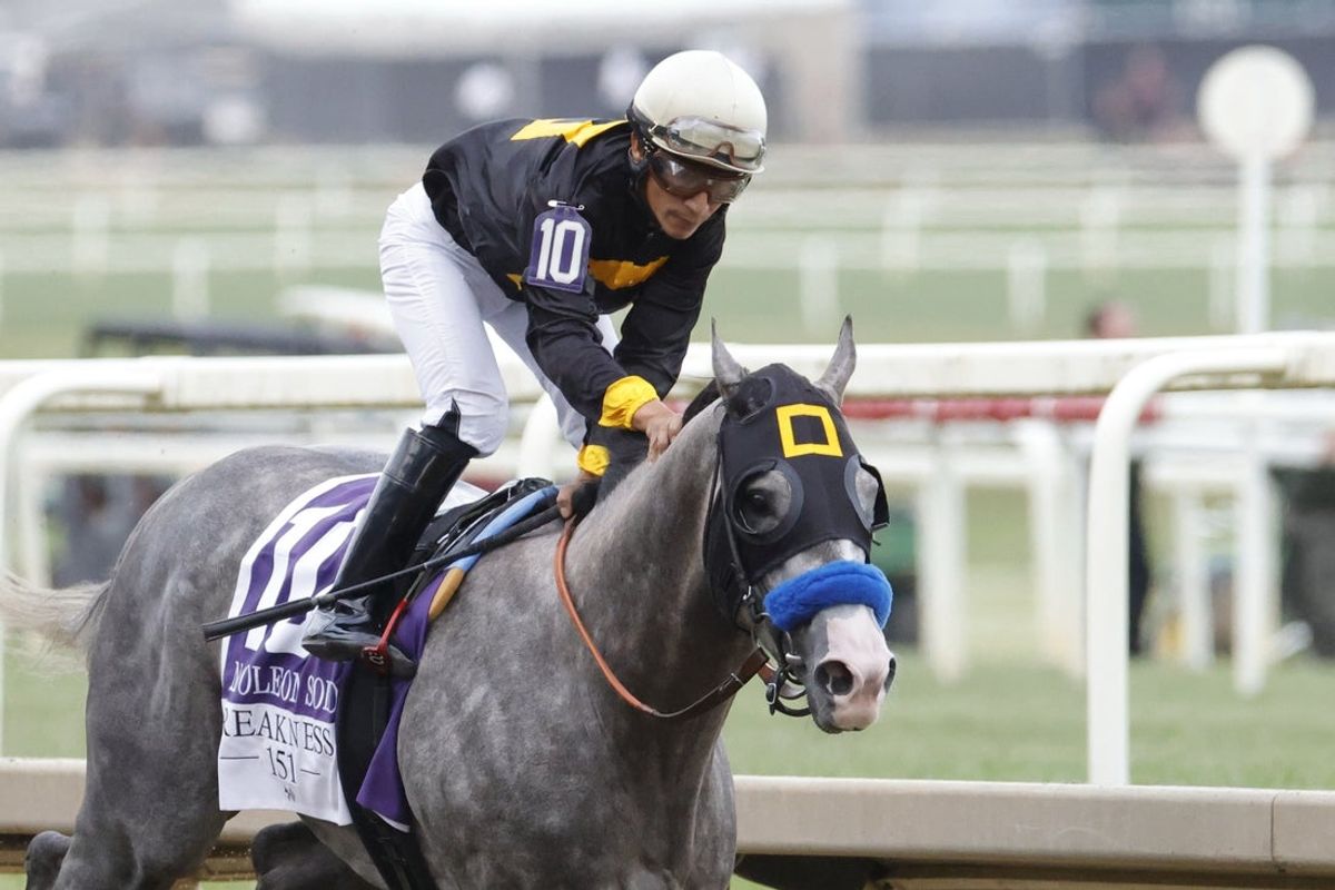 May 16, 2026; Laurel, MD, USA; Napoleon Solo (10) ridden by Paco Lopez wins the 151st Preakness Stakes at Laurel Park. Mandatory Credit: Amber Searls-Imagn Images
