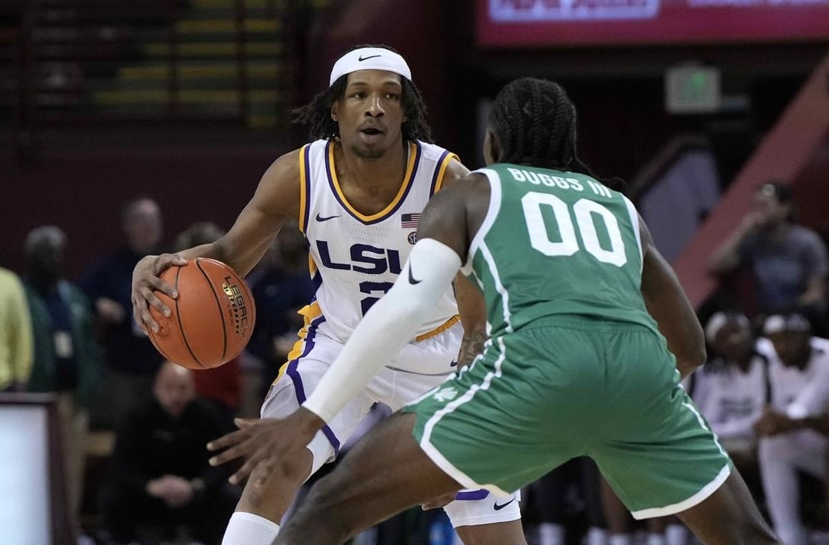 Nov 17, 2023; Charleston, SC, USA; LSU Tigers guard Mike Williams III (2) is guarded by North Texas Mean Green guard John Buggs III (00) in the second half at TD Arena.