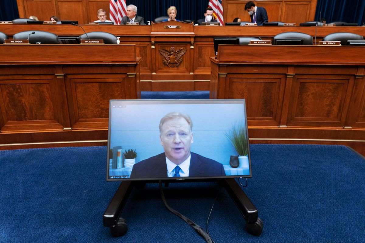 Roger Goodell Zooms into Capitol Hill.