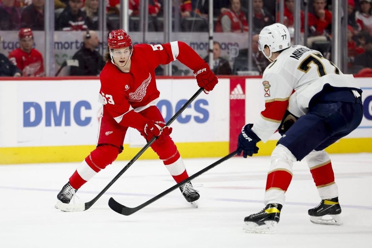 Mar 2, 2024; Detroit, Michigan, USA; Detroit Red Wings defenseman Moritz Seider (53) controls the puck while defended by Florida Panthers defenseman Niko Mikkola (77) in the second period at Little Caesars Arena.