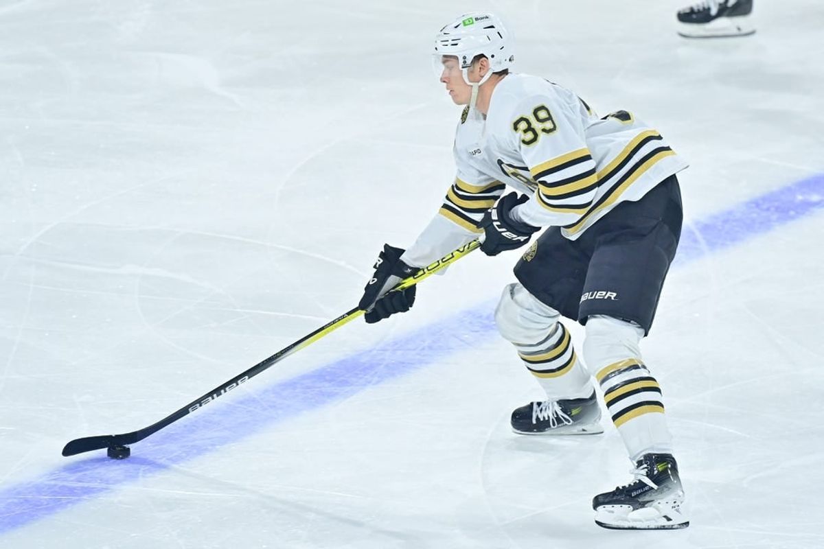 Jan 9, 2024; Tempe, Arizona, USA; Boston Bruins center Morgan Geekie (39) carries the puck in the first period against the Arizona Coyotes at Mullett Arena.