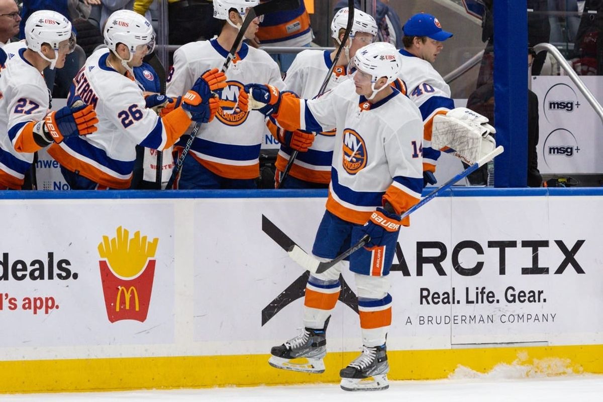 Oct 30, 2023; Elmont, New York, USA; New York Islanders center Bo Horvat (14) celebrates his goal against the Detroit Red Wings during the third period at UBS Arena.