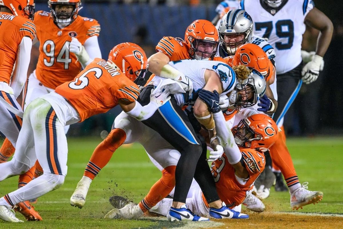 Nov 9, 2023; Chicago, Illinois, USA; Carolina Panthers tight end Hayden Hurst (81) is tackled after a reception against the Chicago Bears during the fourth quarter at Soldier Field.