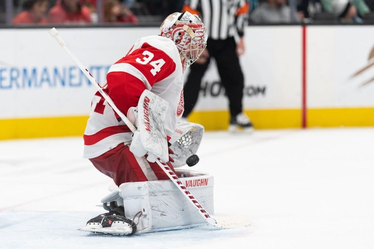 Jan 2, 2024; San Jose, California, USA; Detroit Red Wings goaltender Alex Lyon (34) stops the puck during the second period against the San Jose Sharks at SAP Center at San Jose.