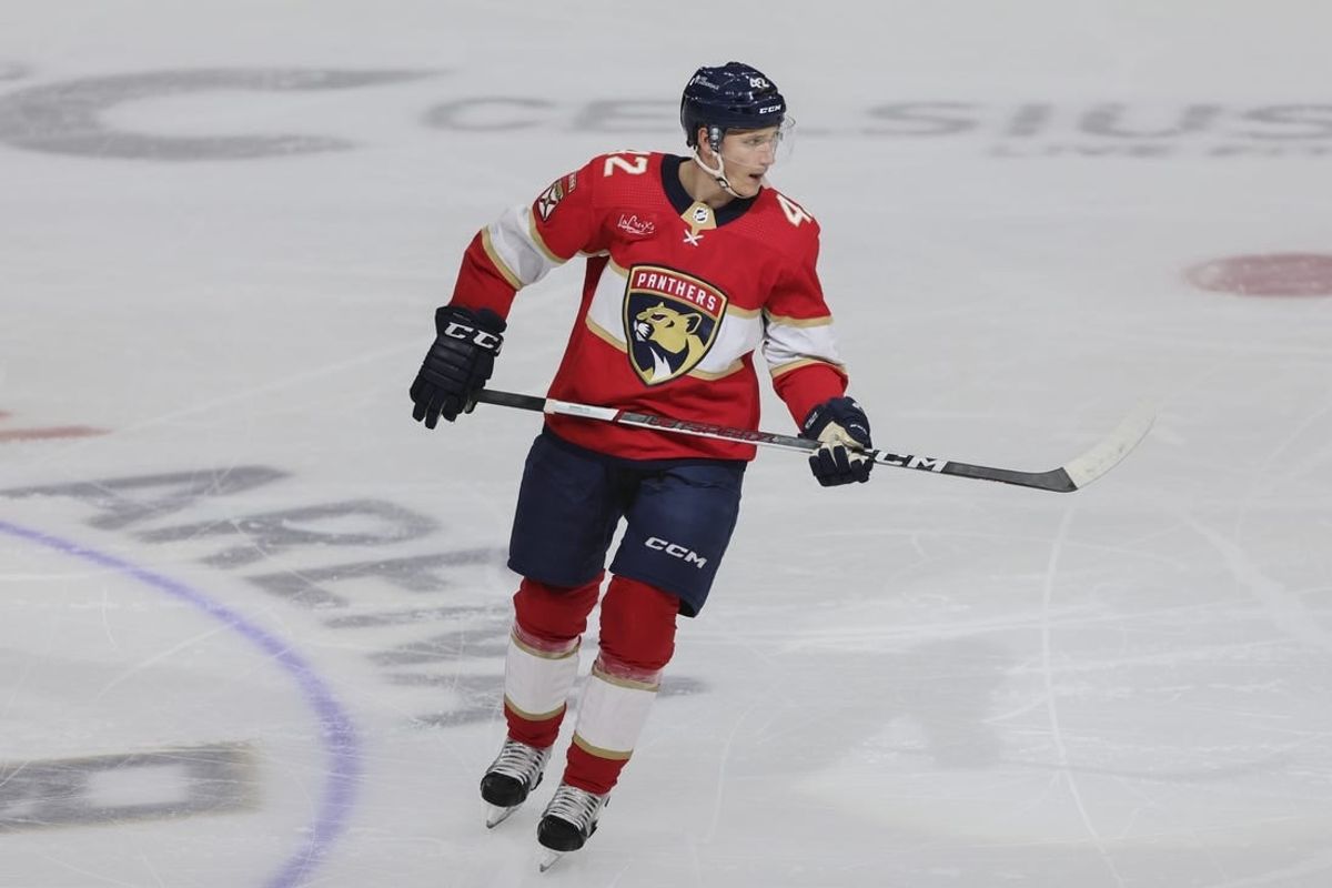 Jan 19, 2024; Sunrise, Florida, USA; Florida Panthers defenseman Gustav Forsling (42) looks on after scoring against the Minnesota Wild during the third period at Amerant Bank Arena.