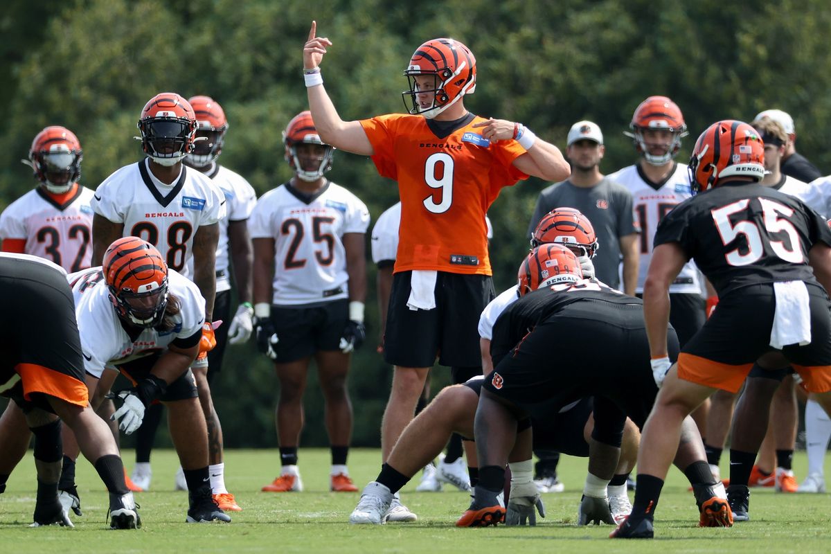 Joe Burrow is either in big trouble or doing just fine, depending on who ya ask.