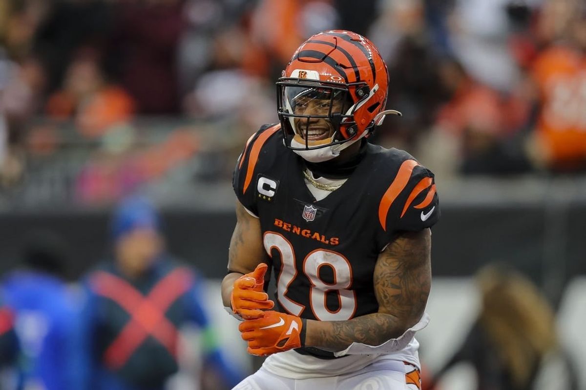 Jan 7, 2024; Cincinnati, Ohio, USA; Cincinnati Bengals running back Joe Mixon (28) reacts after wide receiver Andrei Iosivas (not pictured) scored a touchdown against the Cleveland Browns in the second half at Paycor Stadium.