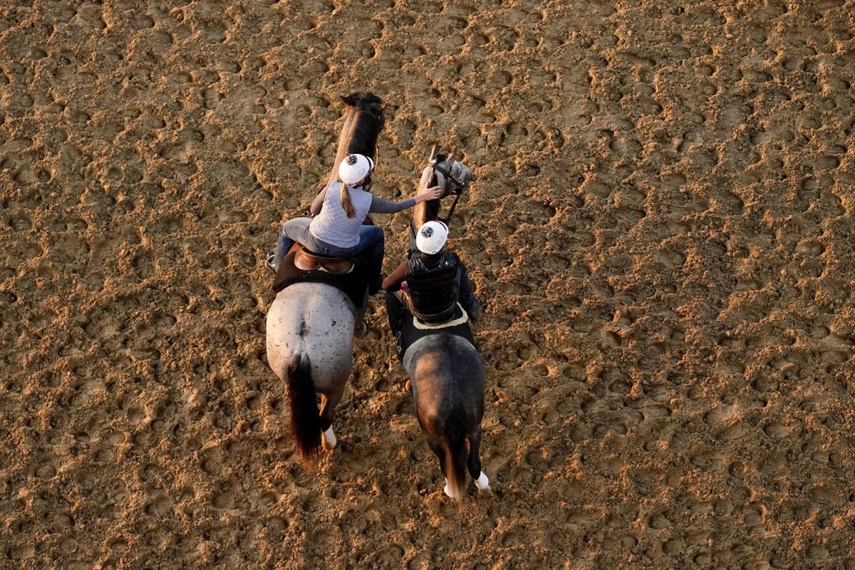 Giddyup.