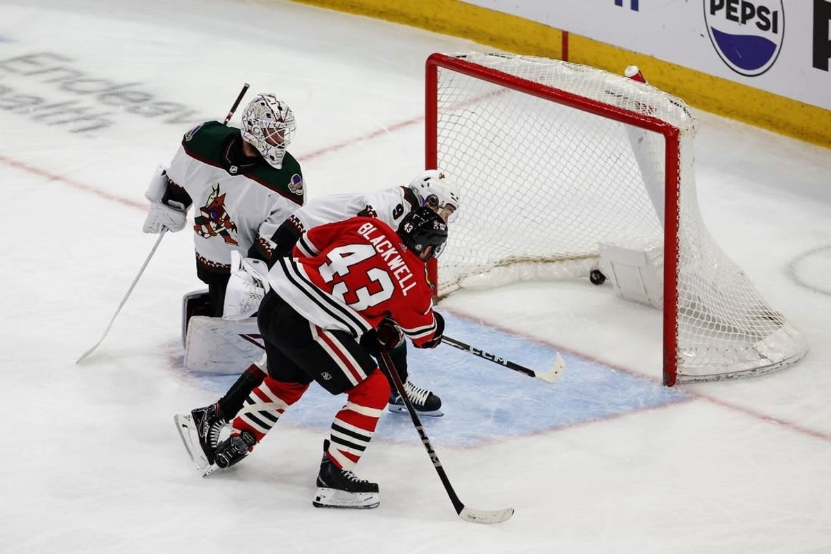 Mar 10, 2024; Chicago, Illinois, USA; Chicago Blackhawks center Colin Blackwell (43) scores against the Arizona Coyotes during the second period at United Center.