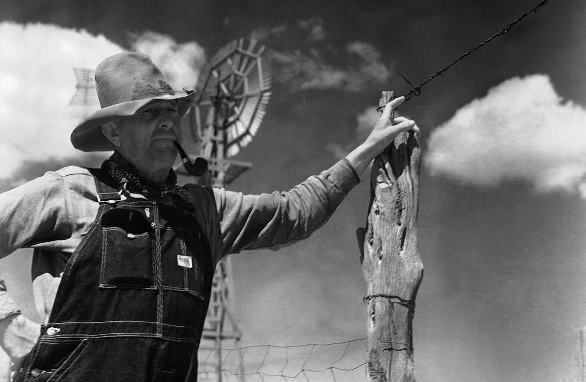 Photo (basically depicting me, standing beside the fence I built with my bare hands) credit:  [object Object]