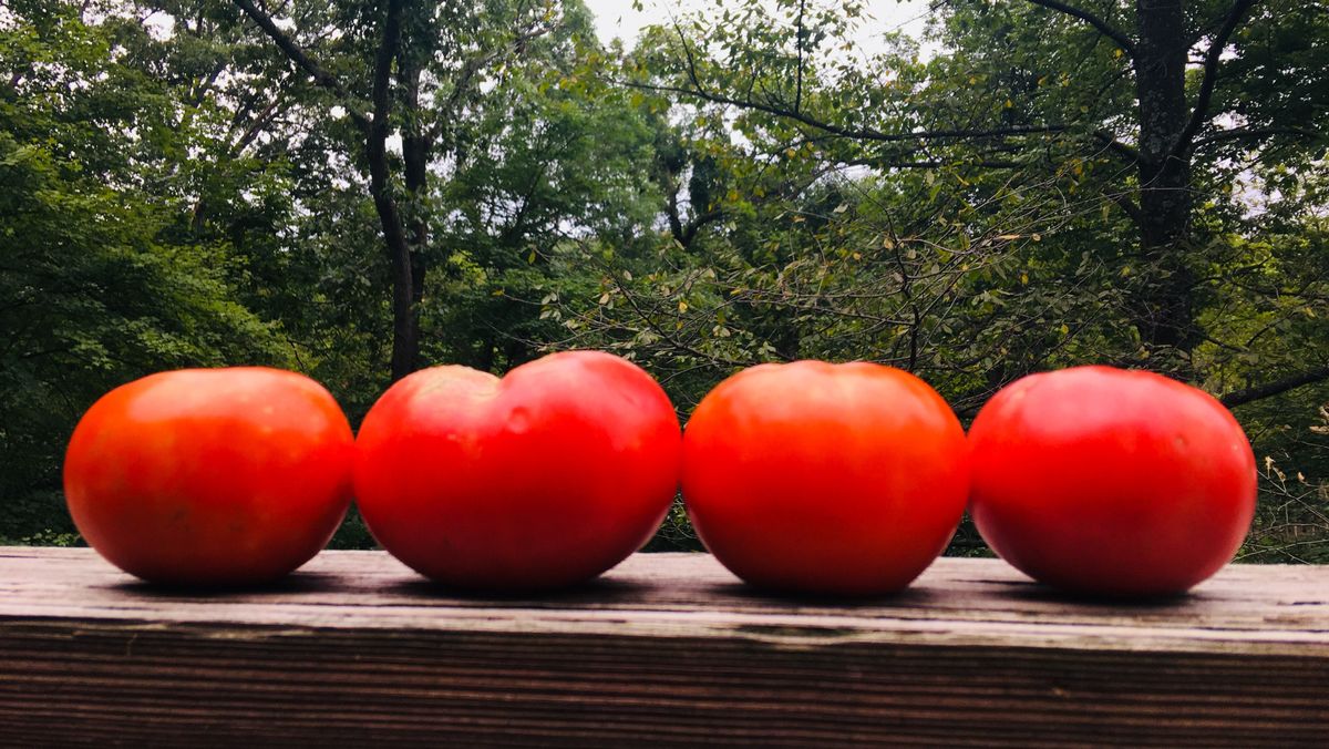 Maters!!! I took this photo.