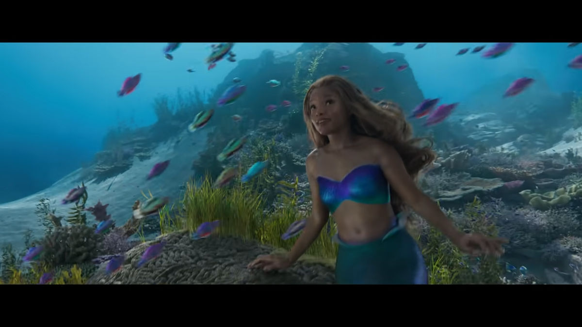 Under the sea