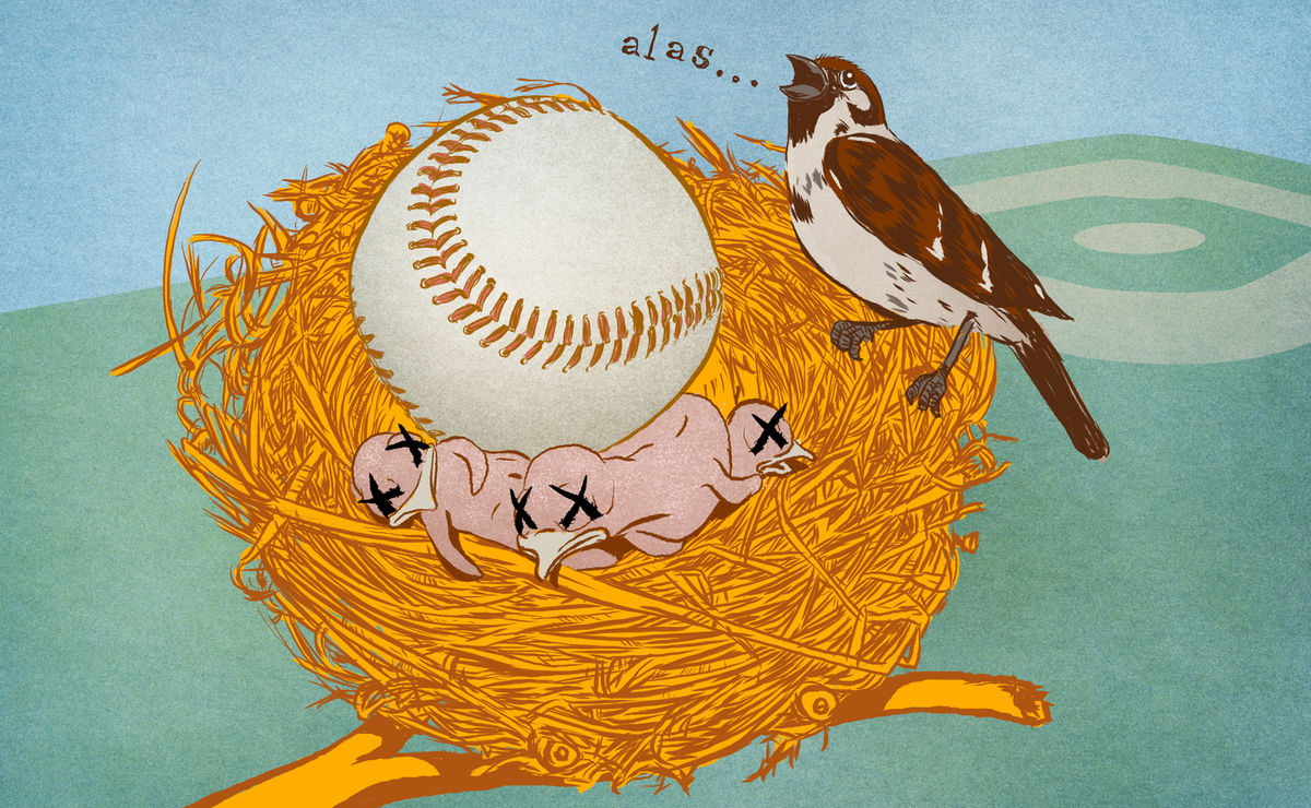 Illustration by Jim Cooke