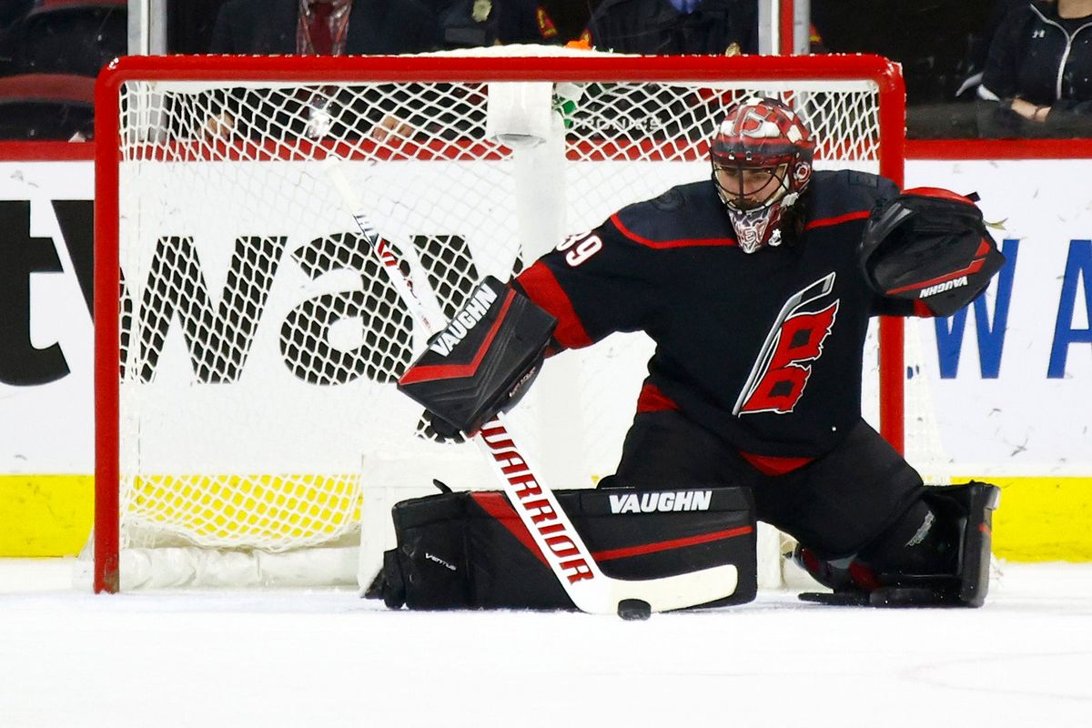 Alex Nedeljkovic is the NHL  most valuable  rook.