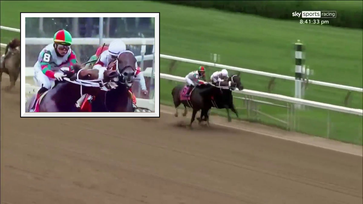 Here we see Firenze Fire decide he really REALLY doesn’t like the horse next to him.