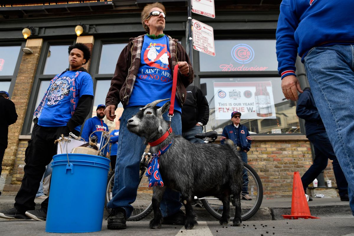 Don’t blame Billy Goat or the Cubs’ performance against Atlanta.