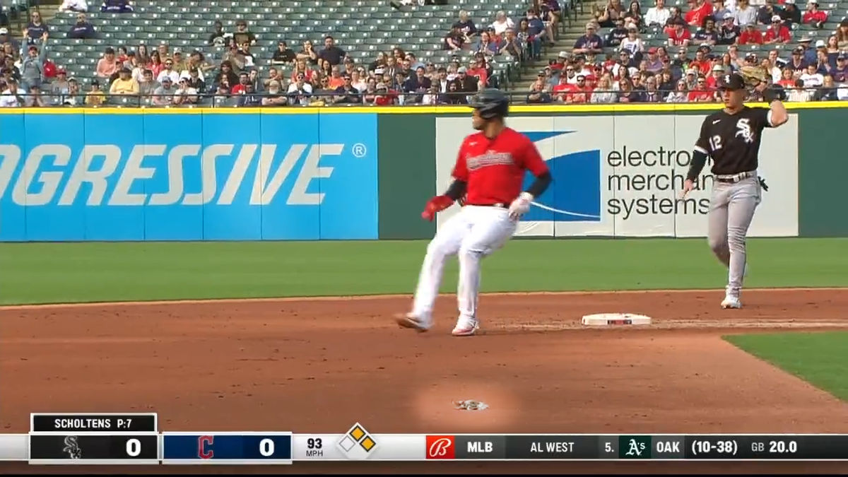 Fowl ball