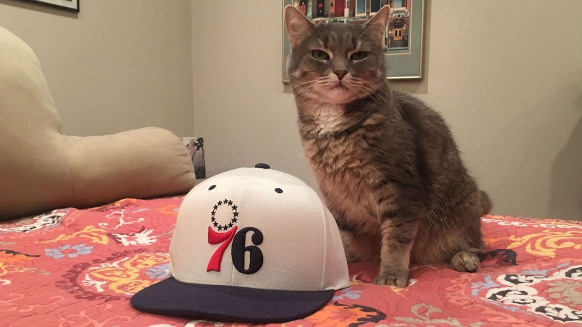 The author’s cat and 76ers hat.