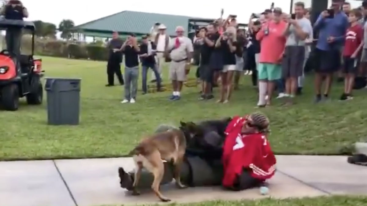 A trained military dog attacks a Navy SEAL wearing a Colin Kaepernick jersey, in an apparent mockery of the blackballed quarterback