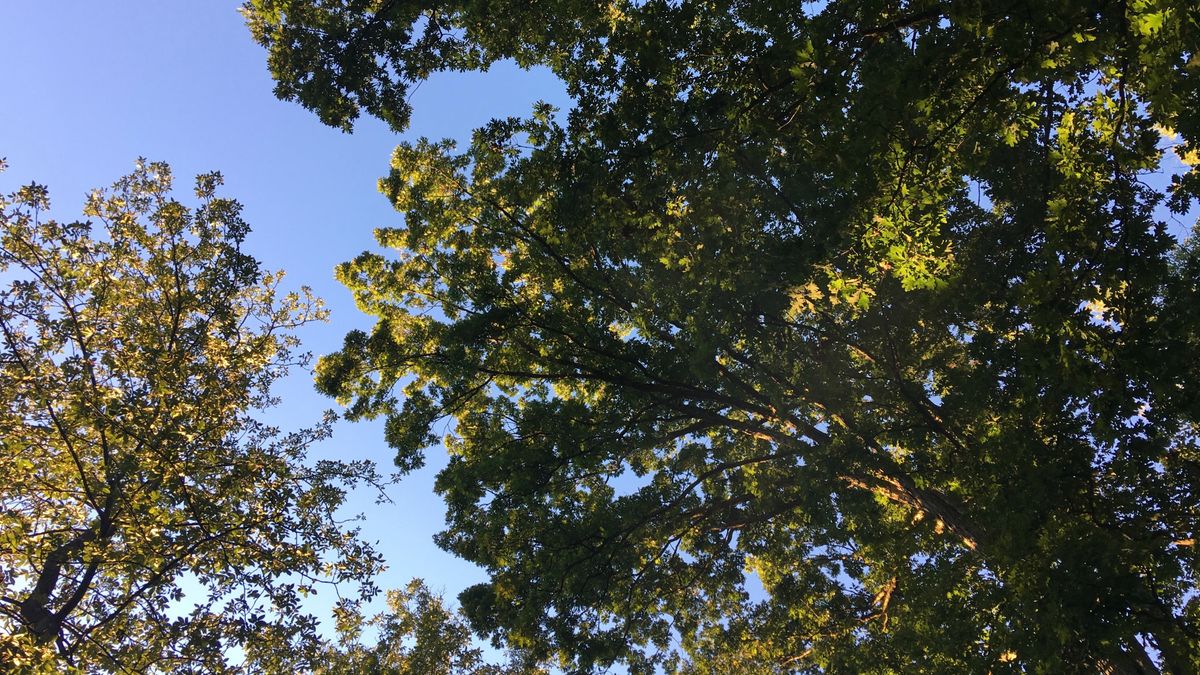 I took this photo with my stupid phone