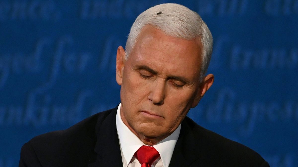 Vice-President Mike Pence and a friend during Wednesday night’s debate.