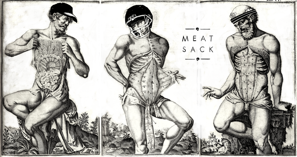 Image: Jim Cooke/GMG, source:  [object Object] , by Giulio Cesare Casseri.