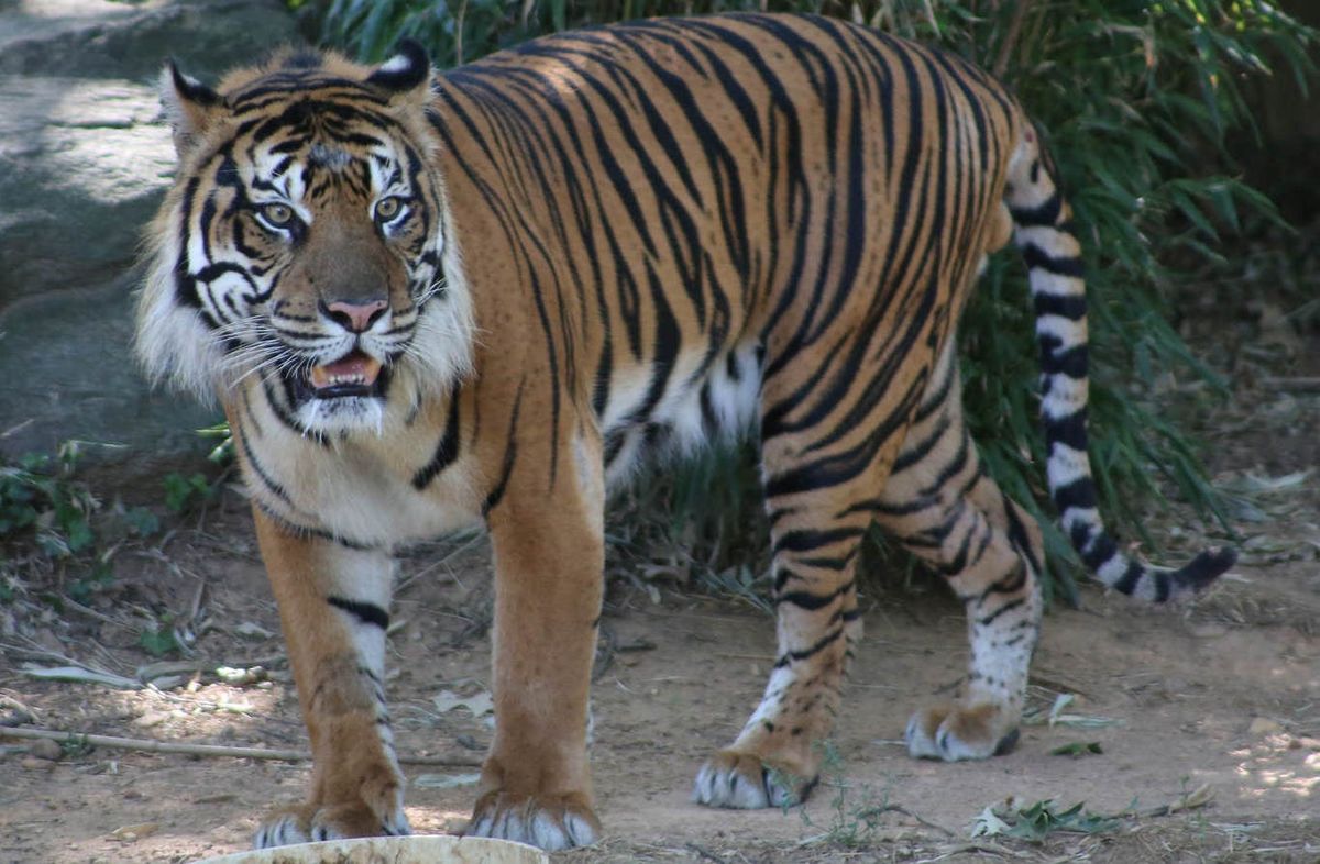 Smithsonian National Zoo