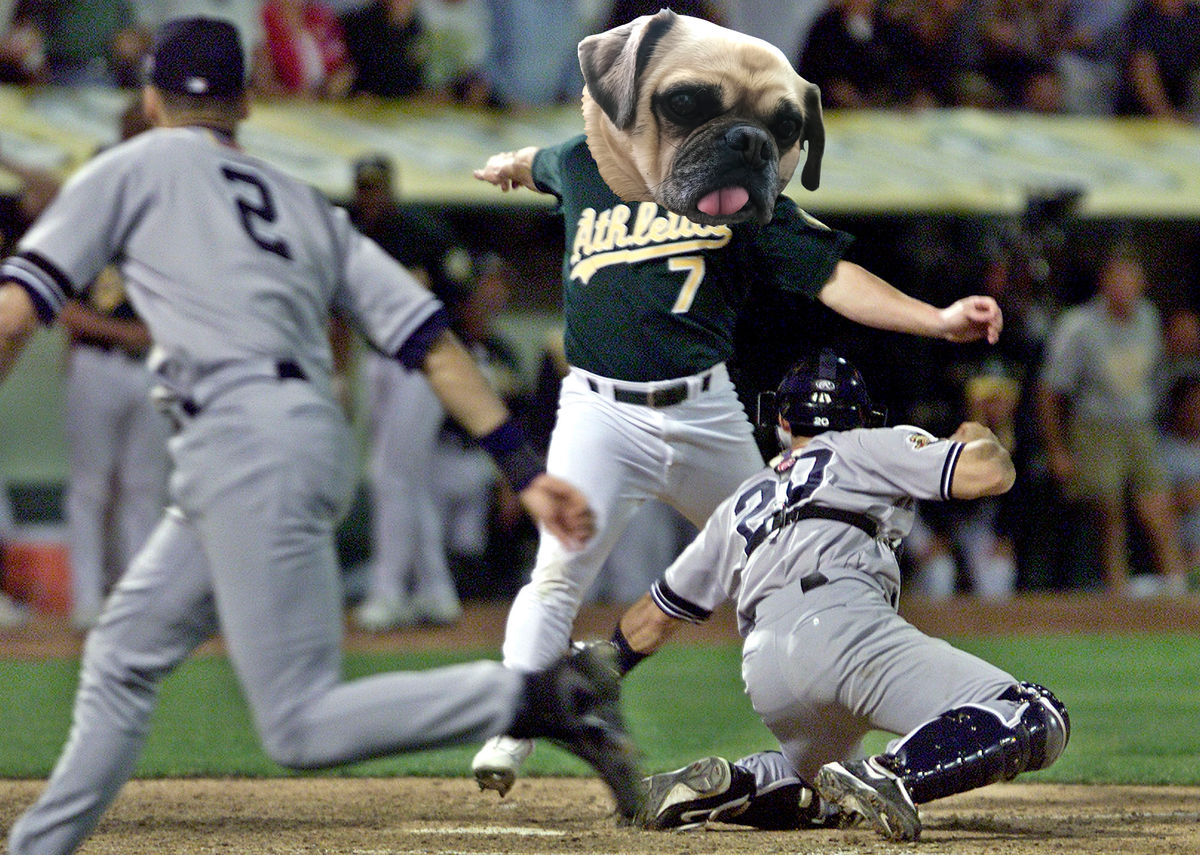 Megan Greenwell, like Benson Giambi, is out.