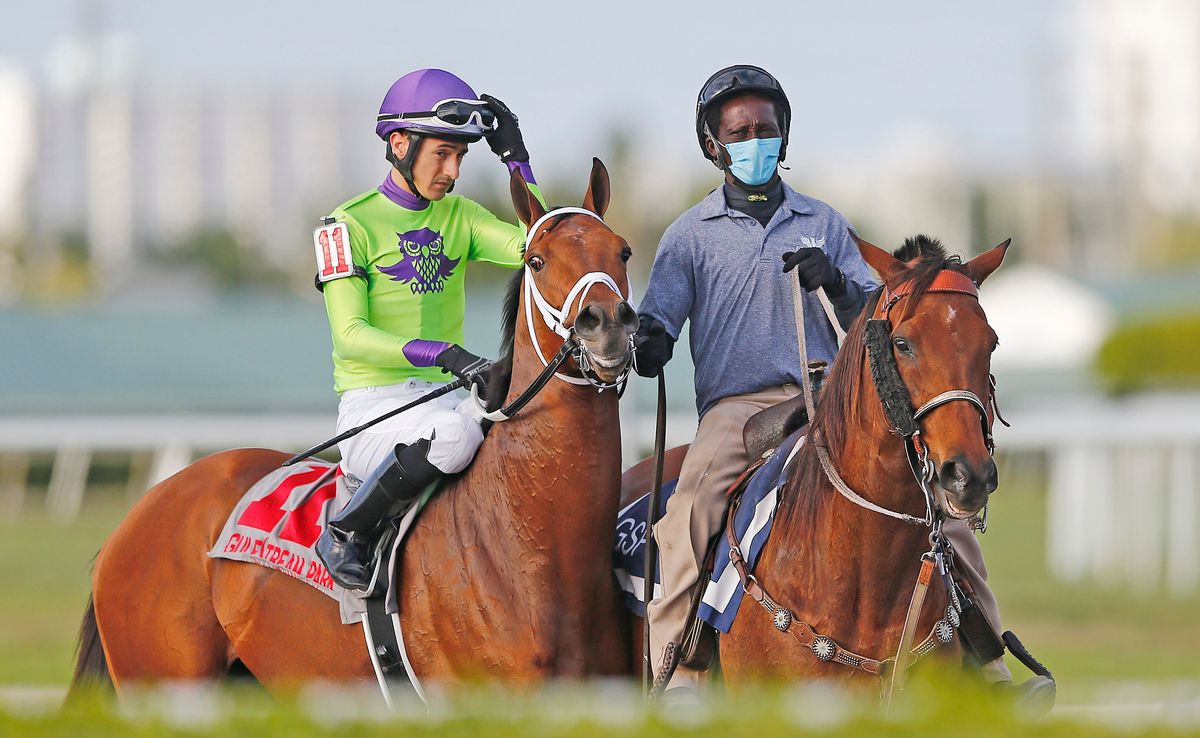 An outrider, wearing a protective mask, escorts a jockey and horse prior to the 68th running of the The Appleton at Gulfstream Park back in March.