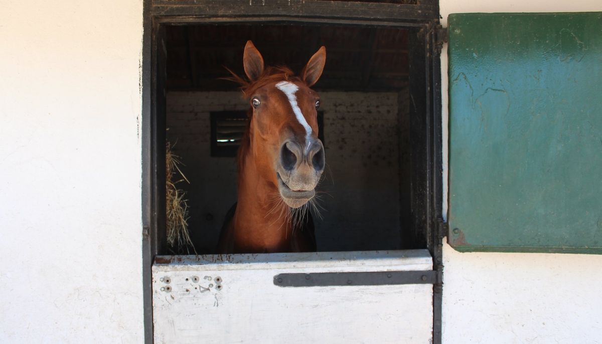 Photo: Snaith Racing