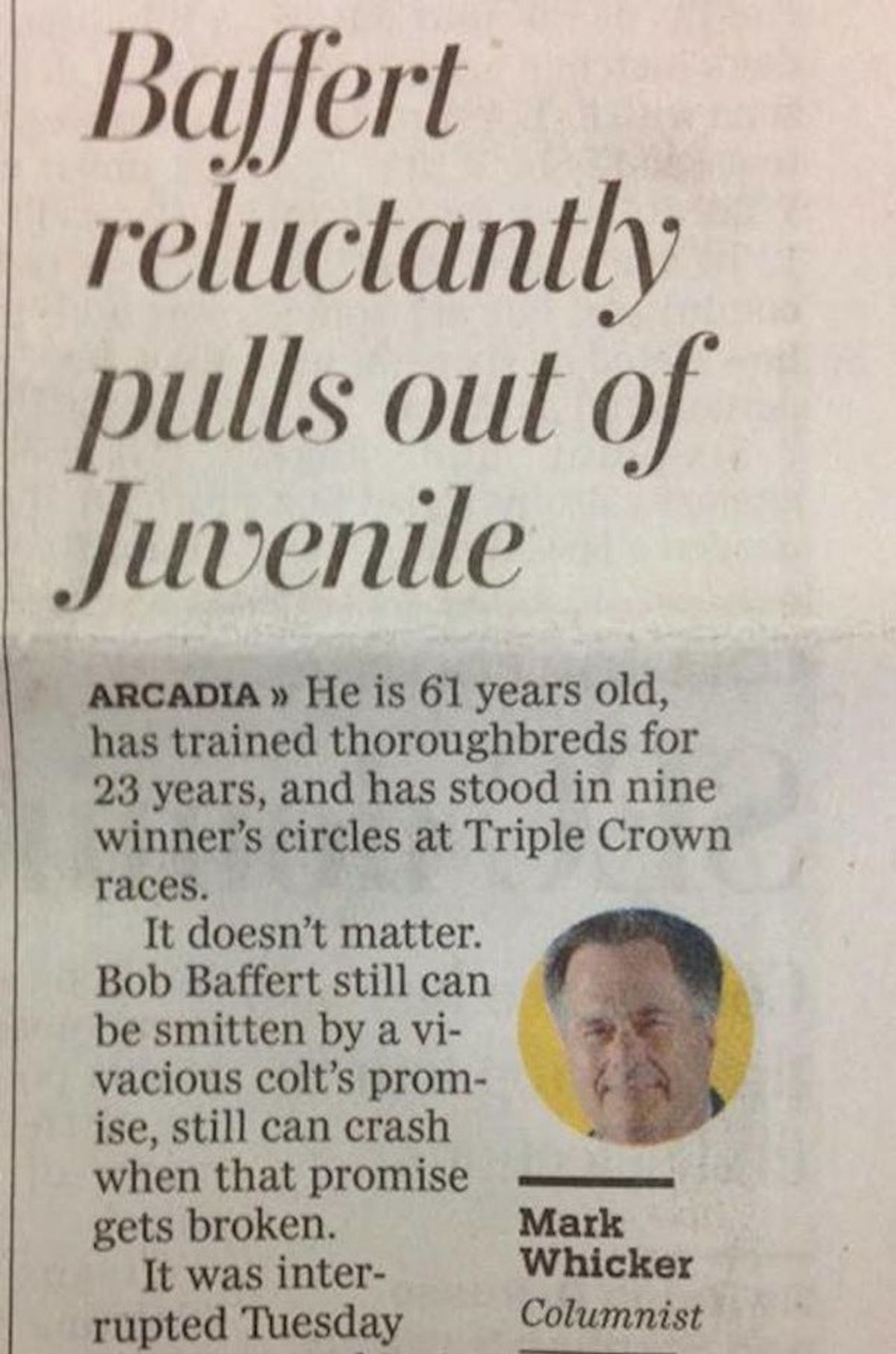 Article image
