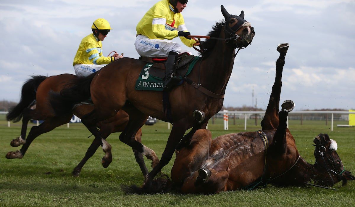 Curious Carlos falls at the last as Jack Sherwood (C) riding Ibis Du Rheu takes evasive action during the Alder Hey Children’s Charity Handicap hurdle race at Aintree Racecourse on April 8, 2016 in Liverpool, England. Via  [object Object] .