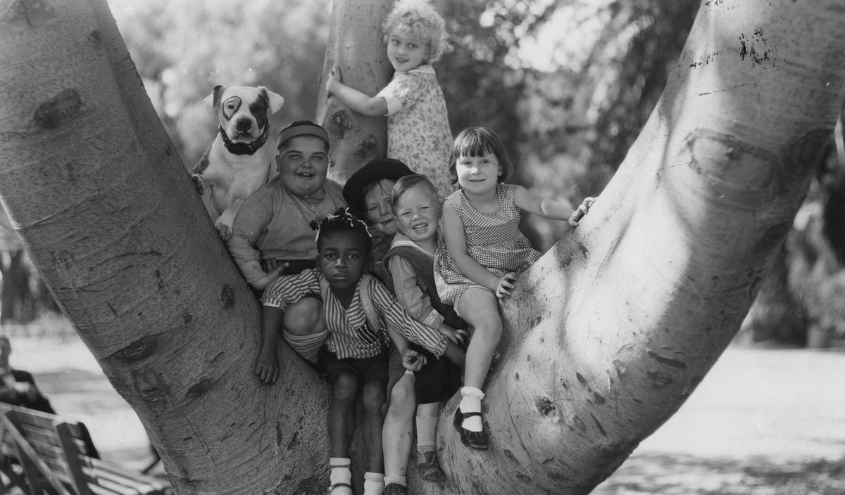 Photo: Hulton Archive/ [object Object]