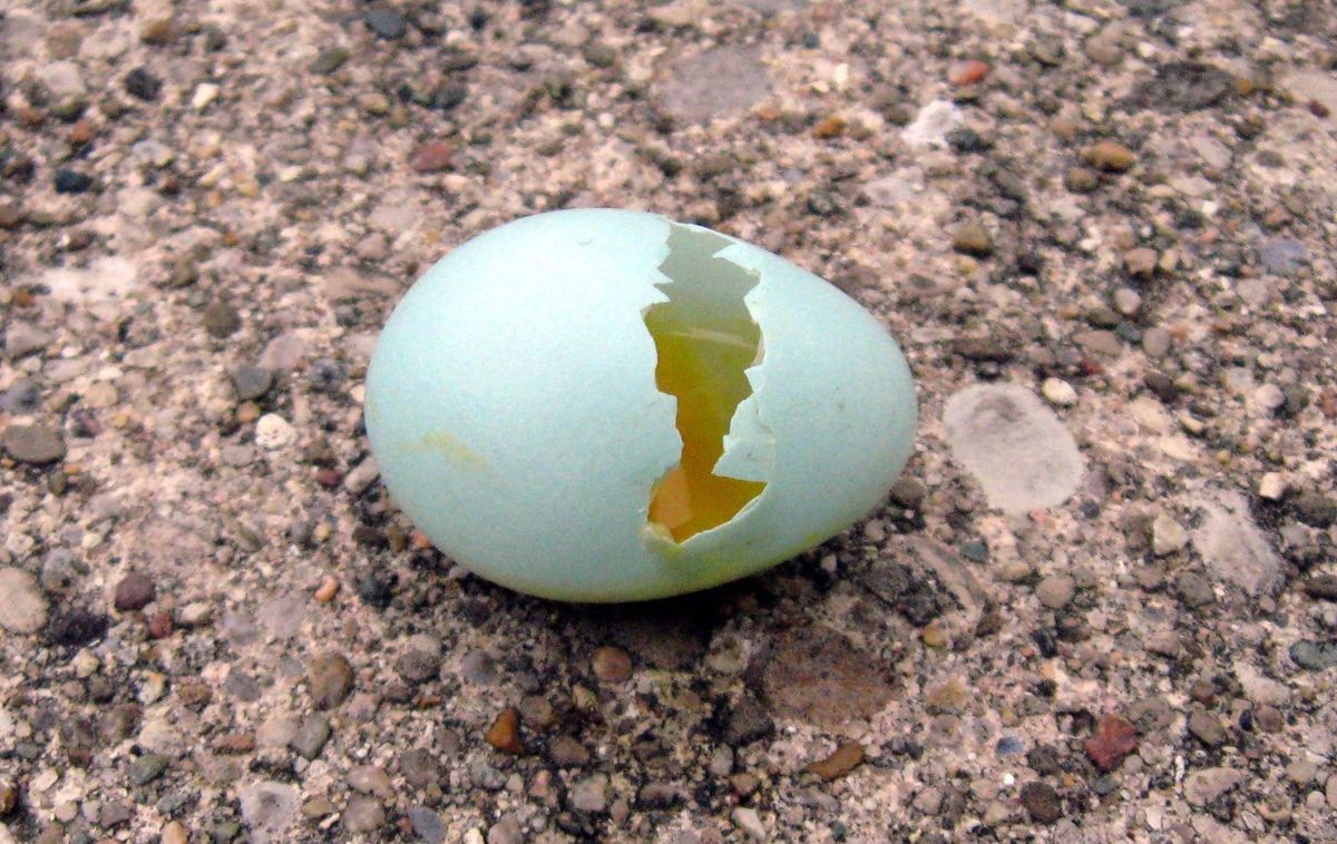 Metaphor:  [object Object]