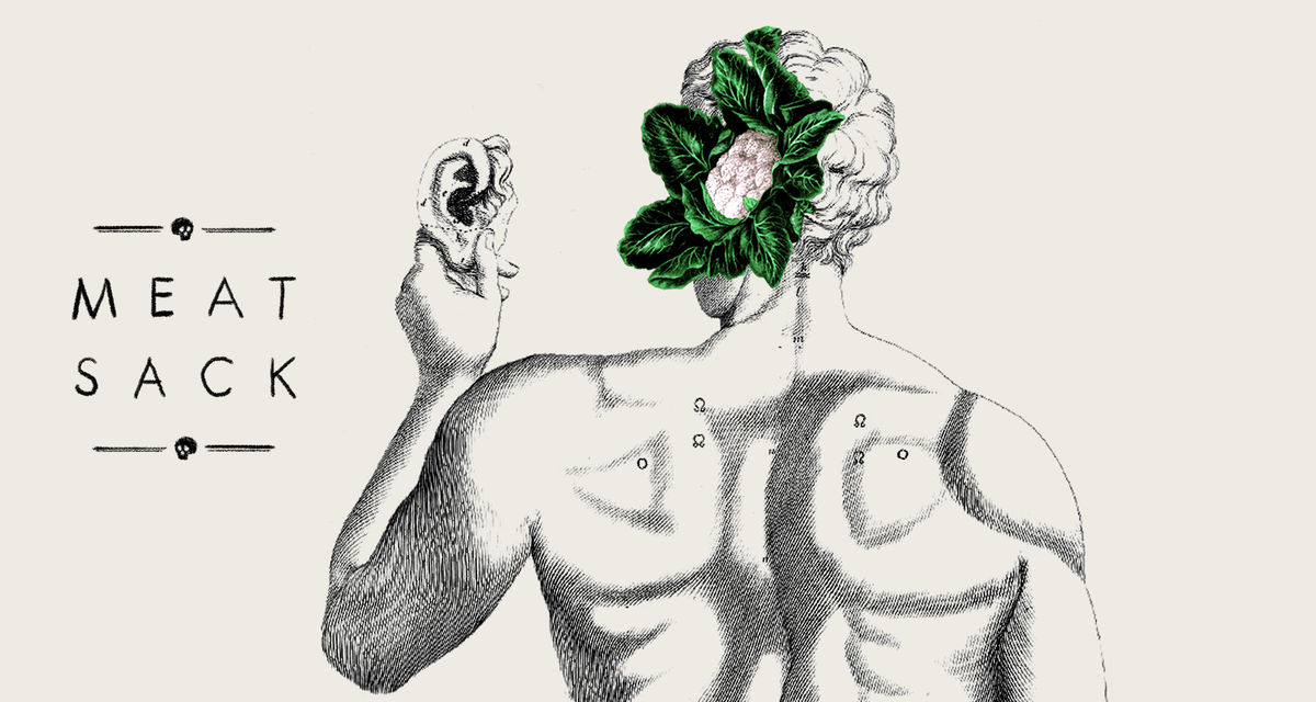 Photo Illustration by Elena Scotti/Deadspin/GMG