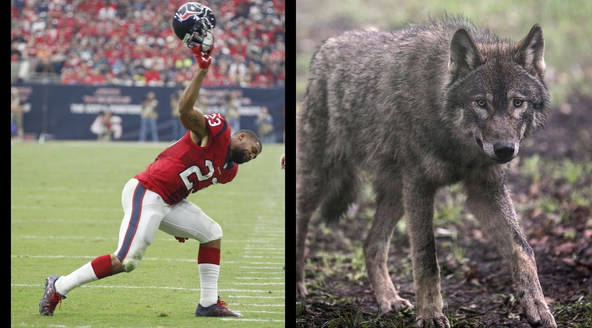 Photo Credits: Bob Levey/Getty and Matt Cardy/Getty