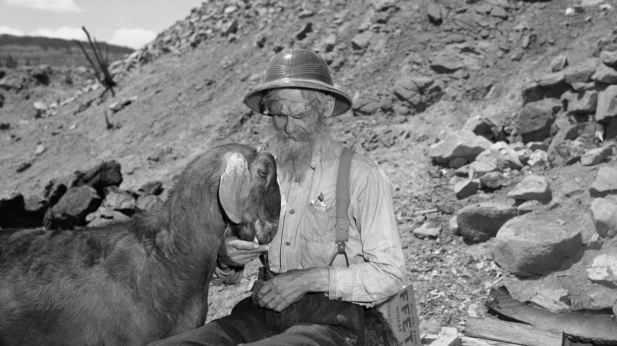 “Well you see, Tater the Goat, when you don’t want to let anybody near your favorite patch of grass, the word for that is...”