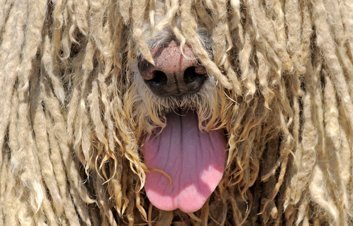 Photo: Jens Meyer/ [object Object]