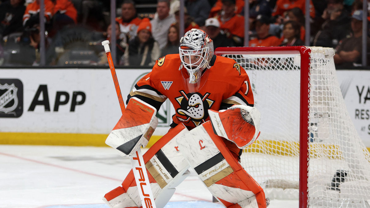  NHL Offseason Storylines: What Comes Next for the Ducks, Panthers and Capitals? 