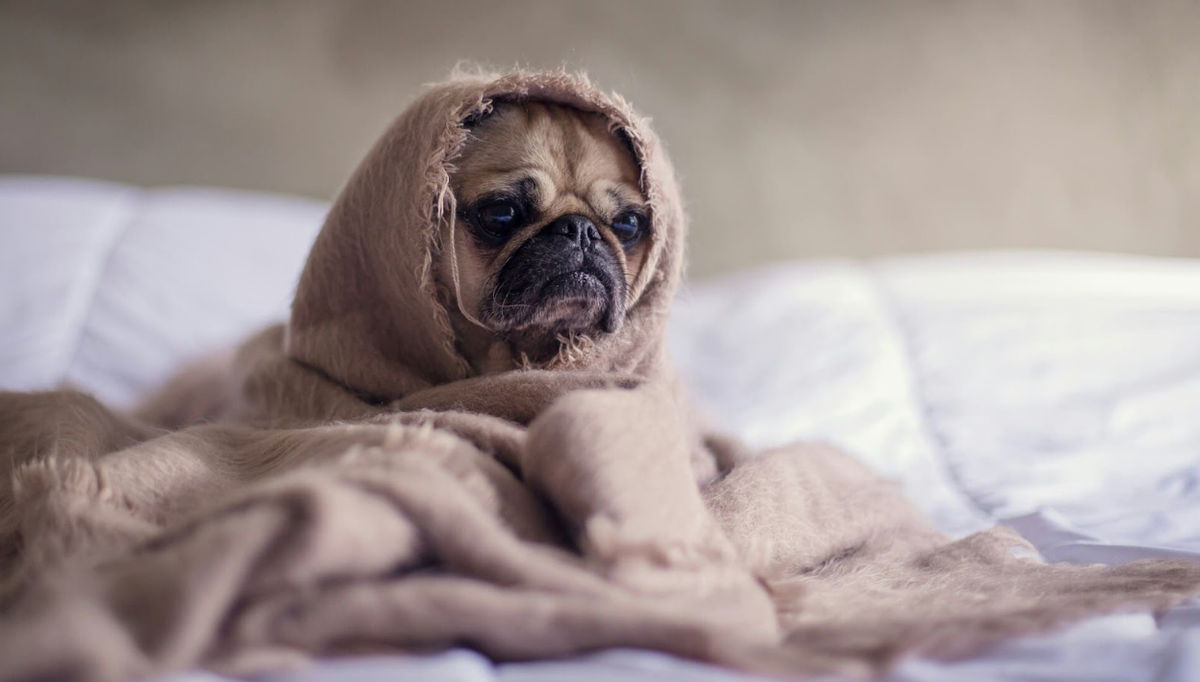 Photo: shutterstock