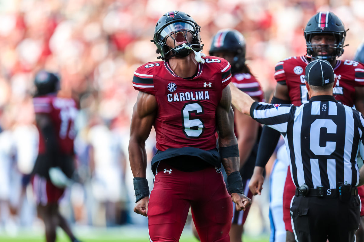 31 de agosto de 2024; Columbia, Carolina del Sur, EE. UU.; Dylan Stewart (6), ala defensiva de los South Carolina Gamecocks, celebra tras una captura contra los Old Dominion Monarchs en el segundo cuarto en el estadio Williams-Brice. Crédito obligatorio: Jeff Blake-USA TODAY Sports