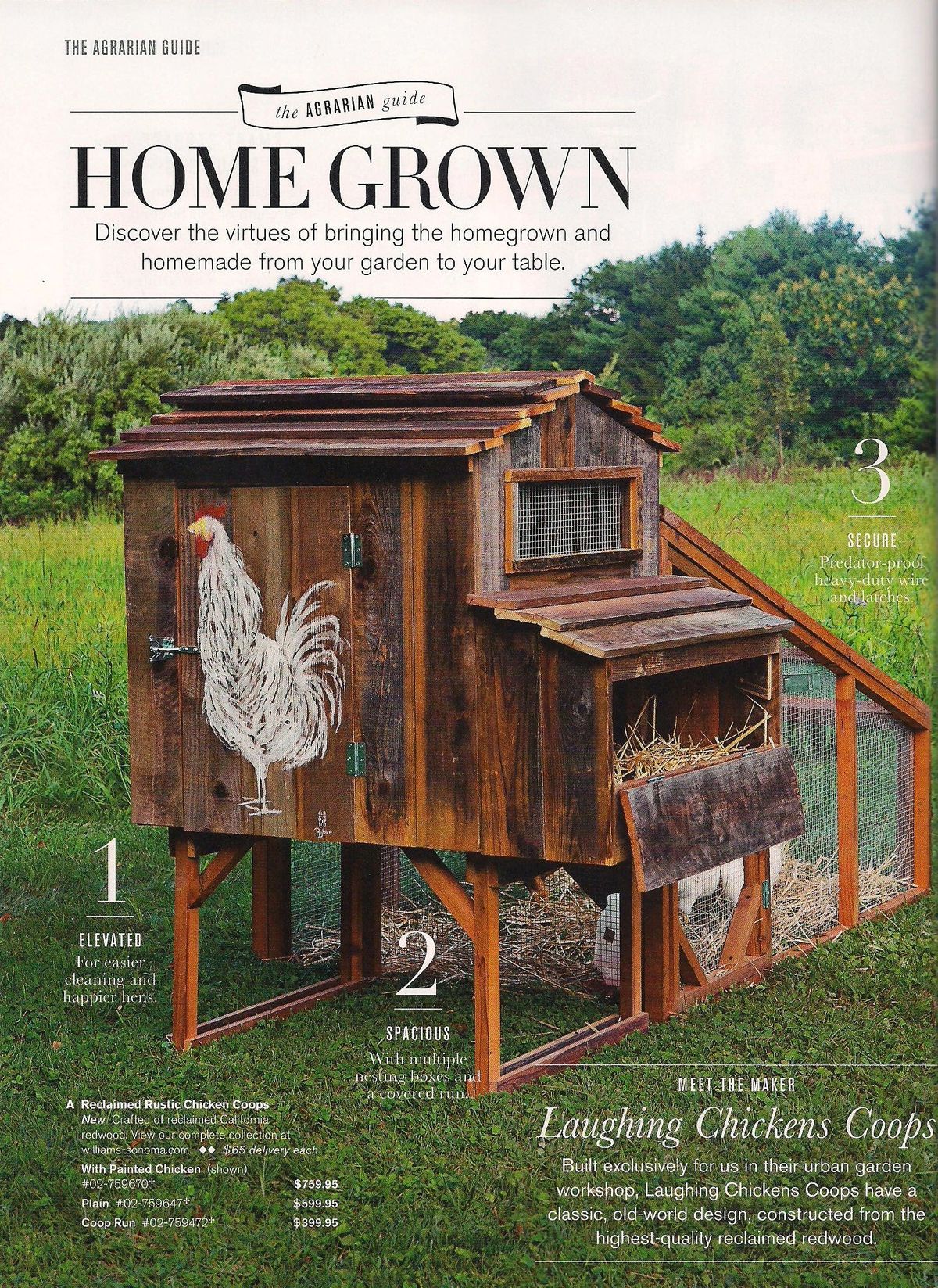 Deadspin The Hater's Guide To The WilliamsSonoma Catalog