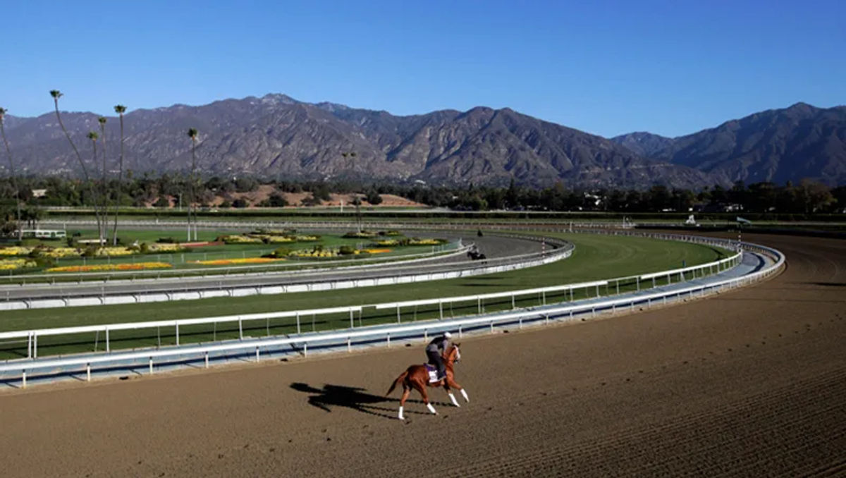 Another Dead Horse At Santa Anita