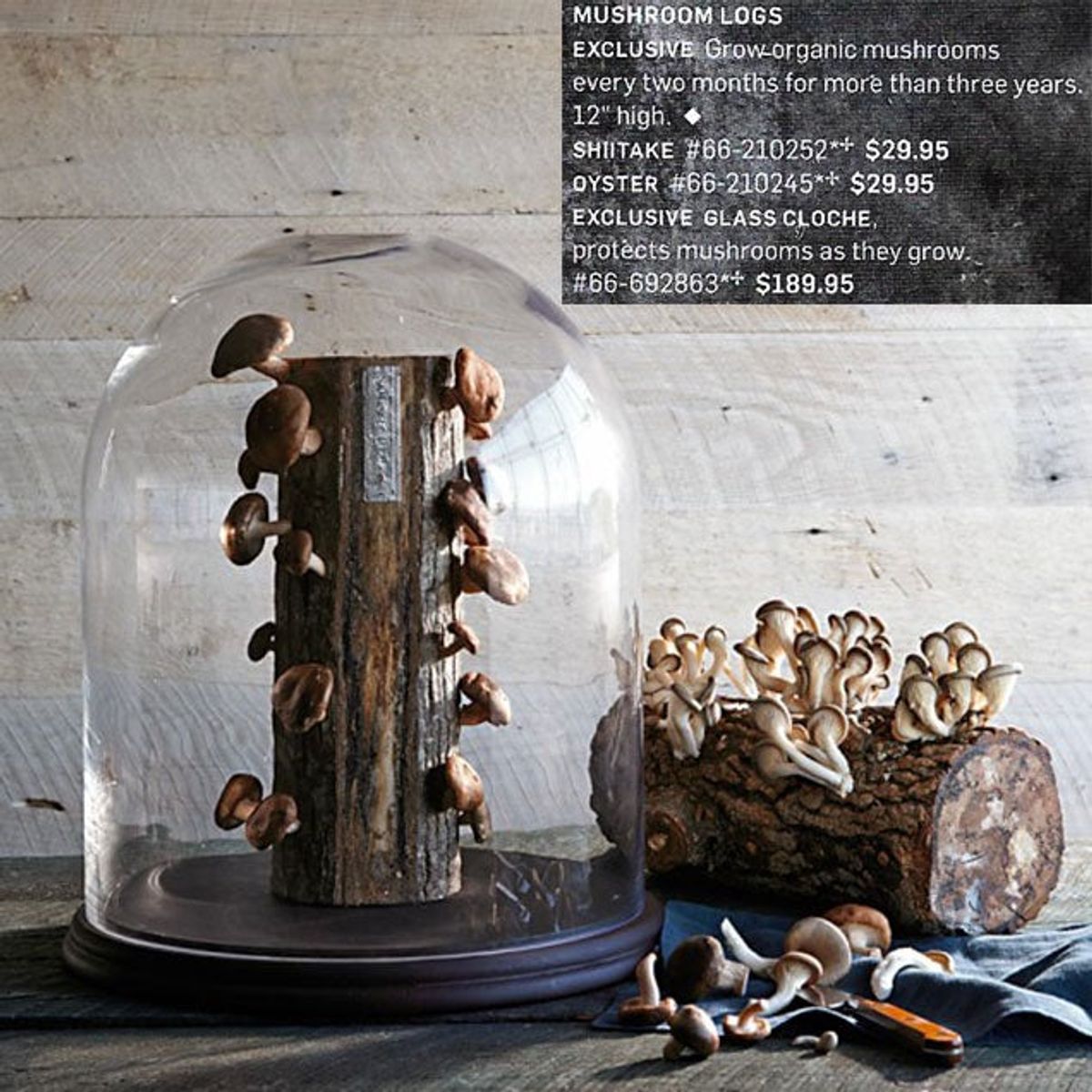 Deadspin The 2014 Hater's Guide To The WilliamsSonoma Catalog