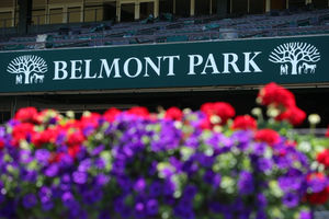 Belmont Stakes 2024 Bet Picks: Who's In It & Who Can Win It?