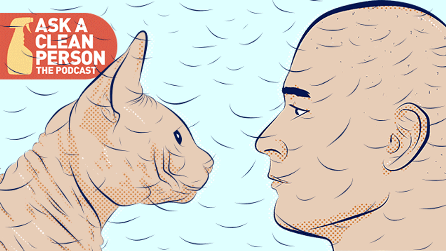Cleancast: Which Is Worse, Human Hair Or Cat Hair?