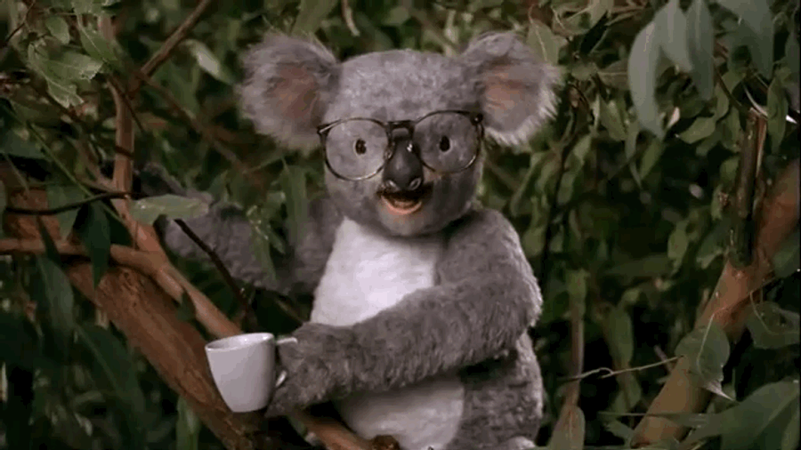 Australian FA Is Salty AF Over World Cup Loss