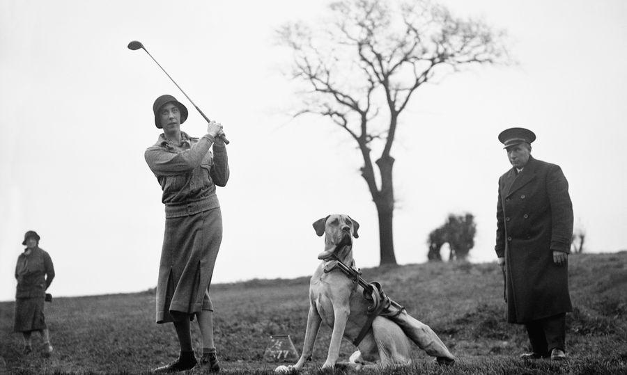 Tell Us Your Pettiest Golf Club Stories
